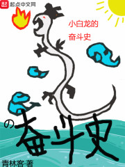小白龙的奋斗史是什么