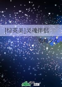 综主暮光灵魂伴侣
