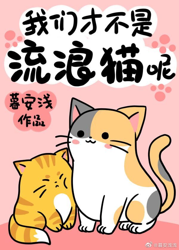 哪里有流浪猫