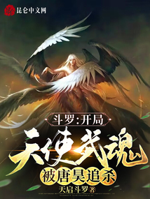 斗罗:开局天使武魂,被唐昊追杀