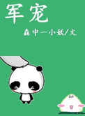 军宠军旅高干免费阅读小说