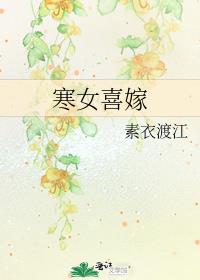 寒女喜嫁免费阅读