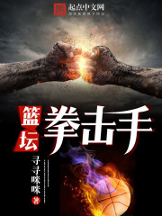 篮坛拳击手小说
