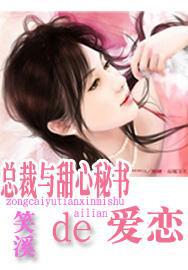 总裁与密书的小说