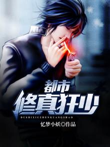 都市修真狂少砖家