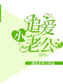追爱小老公