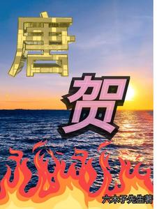 唐贺佳和陆景然的小说叫什么