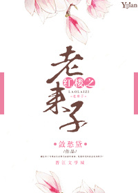 红楼之老来子作者:敛愁黛