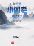 知否:我,小阁老,摄政天下小说
