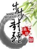 步步封疆有声小说