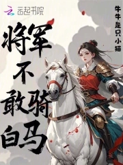 将军不敢骑白马亡人不敢夜揭烛