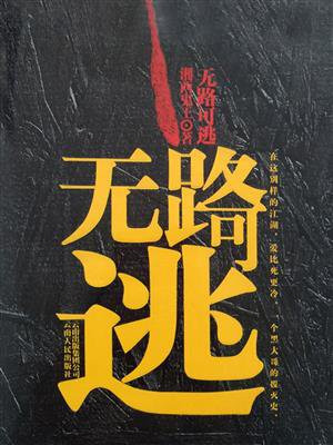 无路可逃小说