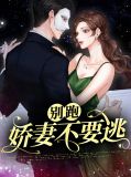 别逃老婆大人免费阅读全文