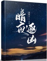 暗夜逐凶电影