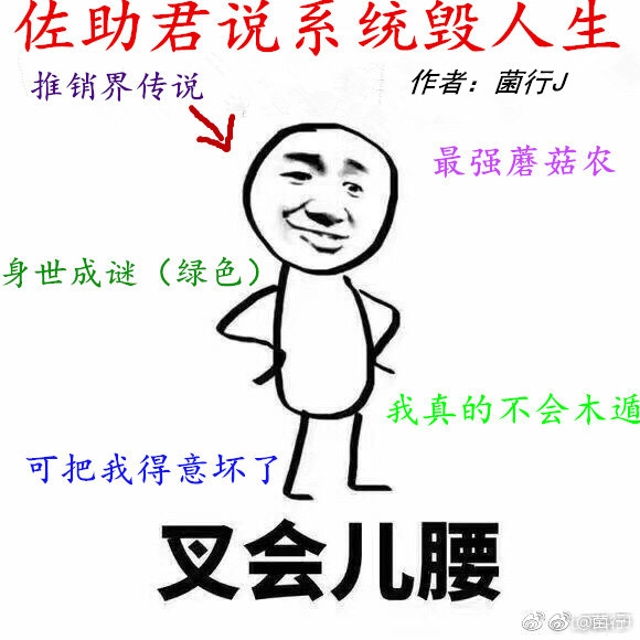 佐助君说系统毁灭人生格格党