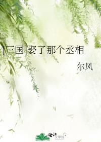 三国娶了那个丞相格格党