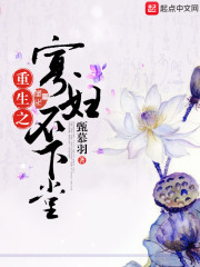 重生之寡妇不下堂小说