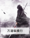 万道纵横行