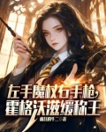 霍格沃茨当教授