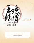 玉质风骨