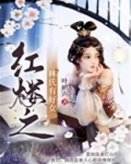 红楼之林氏有好女