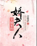 宰辅家的娇夫人