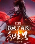 红楼：我成了贾政私生子