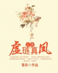 （红楼同人）红楼之虚琏真凤