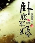 卧底军婚