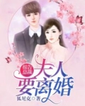报告总裁，夫人要离婚！