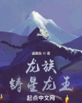 龙族：铸星龙王