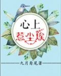 心上惹尘埃