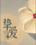 一宠成婚（挚爱）