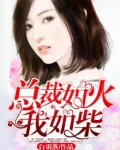 总裁如火我如柴