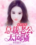惊世复仇：总裁老公太闷骚