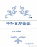 （人义+欢乐颂）特种兵邱莹莹