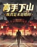 高手下山：我真是来退婚的！