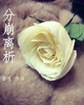 分崩离析