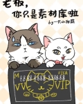 老板，你只是素材库啦