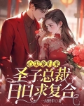 心尖宠归来，圣子总裁日日求复合