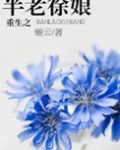 重生之半老徐娘