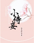 重生小侍妾
