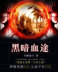 黑暗血途