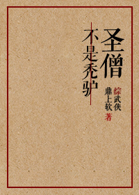 综武侠圣僧免费阅读