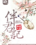 伴君记