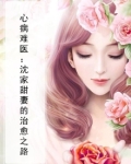 心病难医:沈家甜妻的治愈之路
