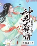 神君太钟情：上仙嫁了吧