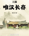 三国：唯汉长存！