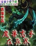 魔兽高手在异界