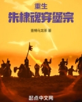 重生大明：朱棣魂穿堡宗